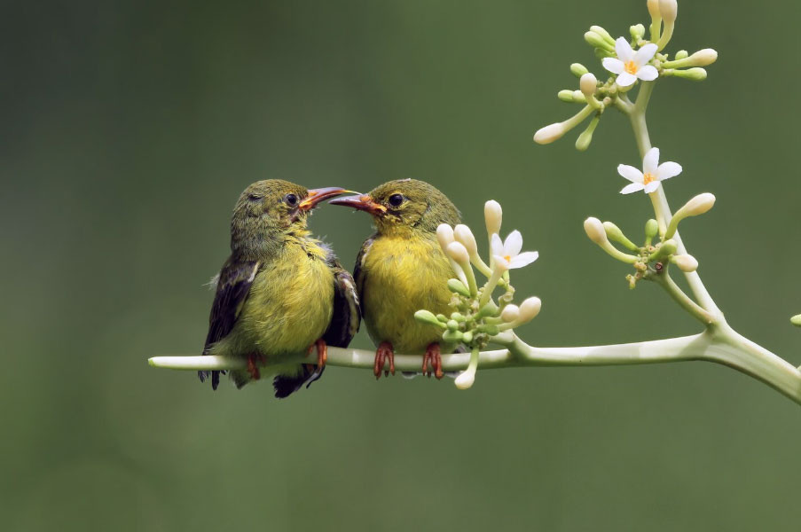 Ngày sinh Âm lịch của người không ngừng nỗ lực, giàu có chỉ là vấn đề thời gian - Ảnh 1.