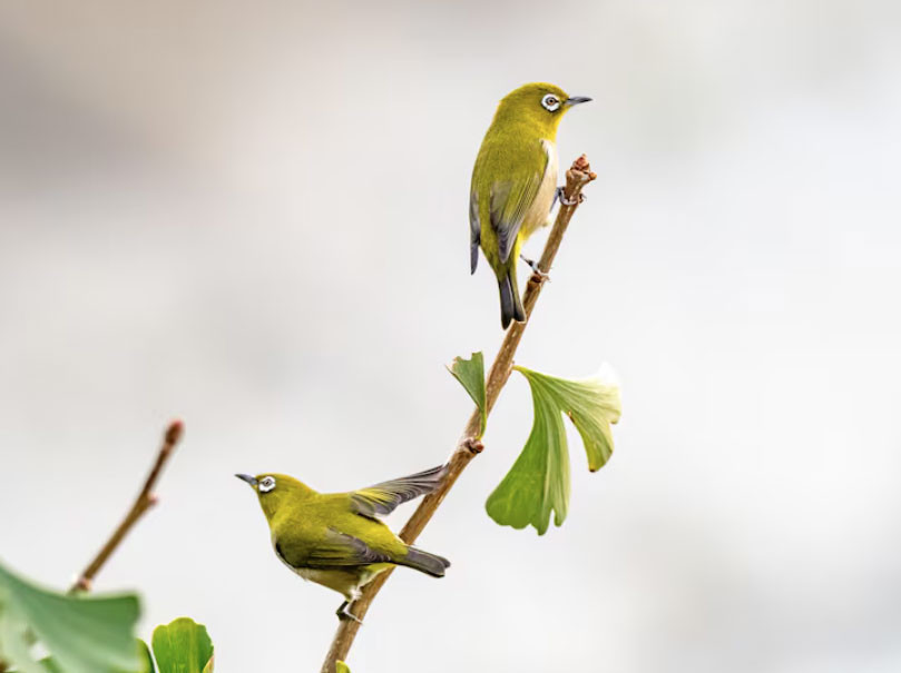 Ngày sinh Âm lịch của người không ngừng nỗ lực, giàu có chỉ là vấn đề thời gian - Ảnh 2.