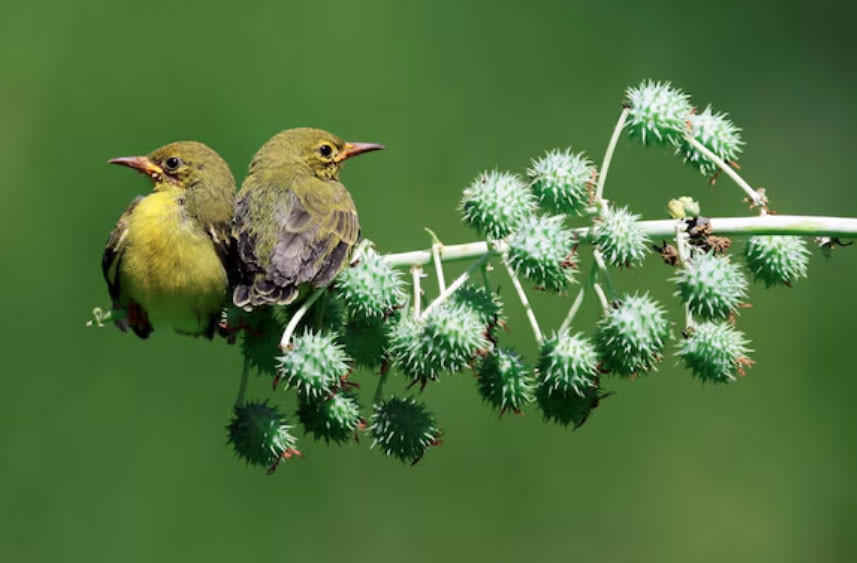 Ngày sinh Âm lịch của người không ngừng nỗ lực, giàu có chỉ là vấn đề thời gian - Ảnh 3.