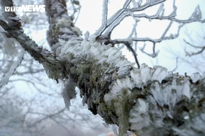 Đại hàn được đánh giá lời điểm rét buốt nhất trong năm. (Ảnh: Viên Minh)
