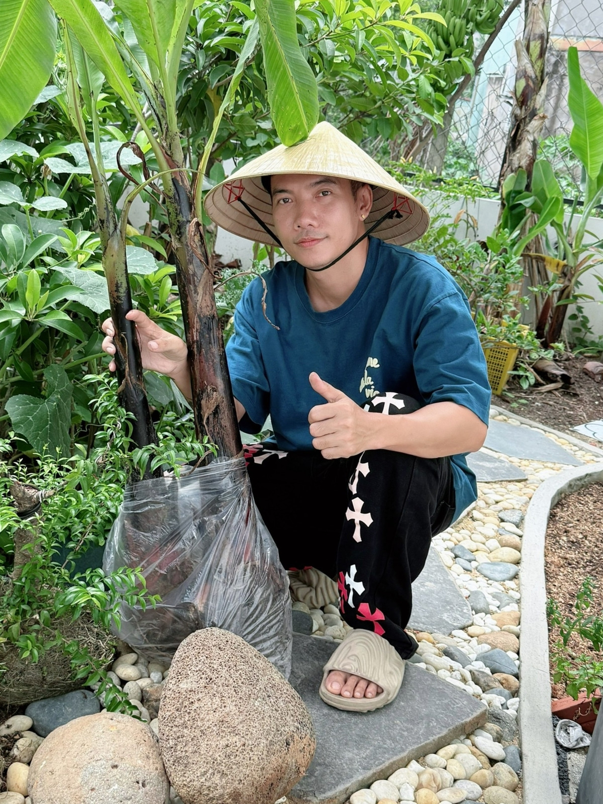 Tổ ấm hạnh phúc của ca sĩ Phạm Trưởng với vườn cây trĩu quả trong nhà phố - Ảnh 6.