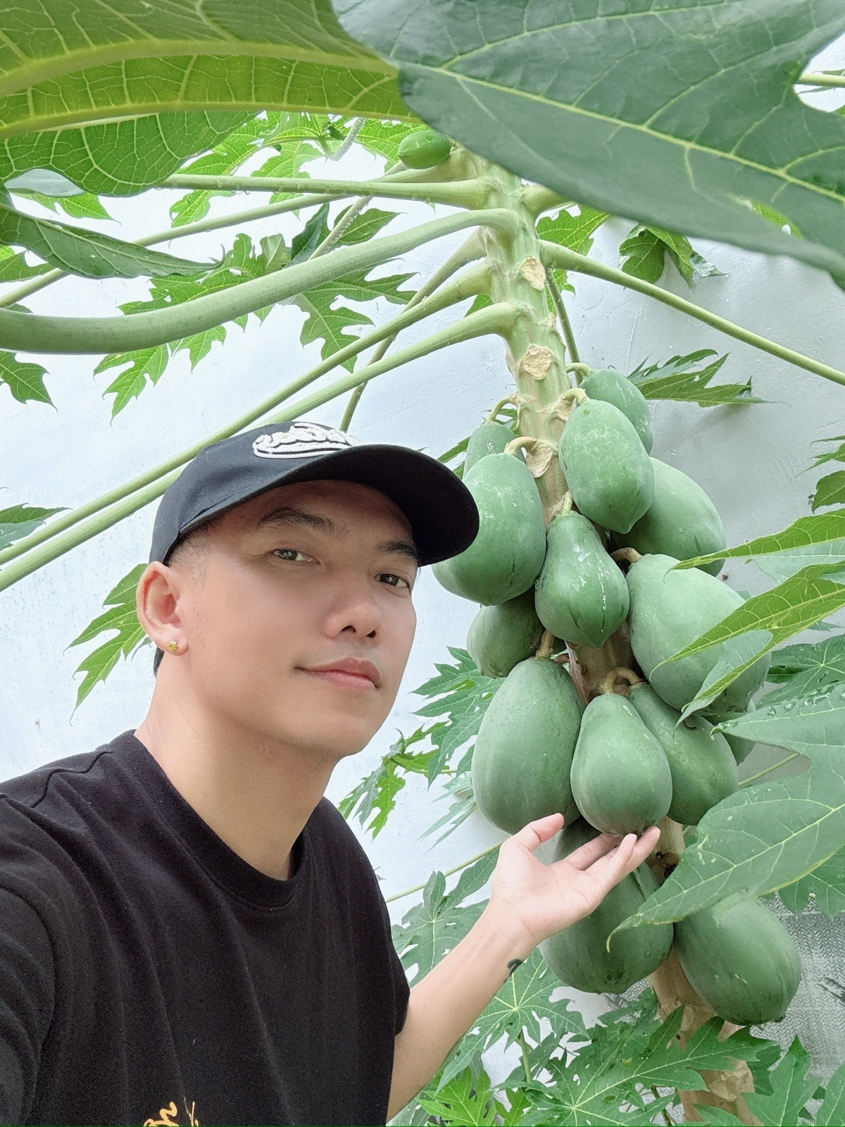 Tổ ấm hạnh phúc của ca sĩ Phạm Trưởng với vườn cây trĩu quả trong nhà phố - Ảnh 7.