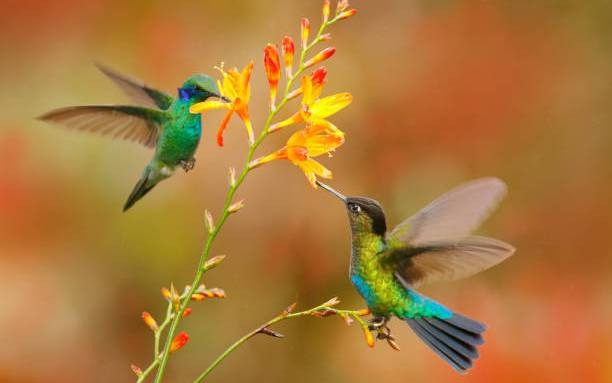 5 ngày sinh bước vào chu kỳ vàng son trong năm 2026: Dám làm sẽ dễ giàu - Ảnh 5.