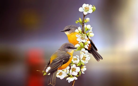 5 ngày sinh bước vào chu kỳ vàng son trong năm 2026: Dám làm sẽ dễ giàu - Ảnh 4.