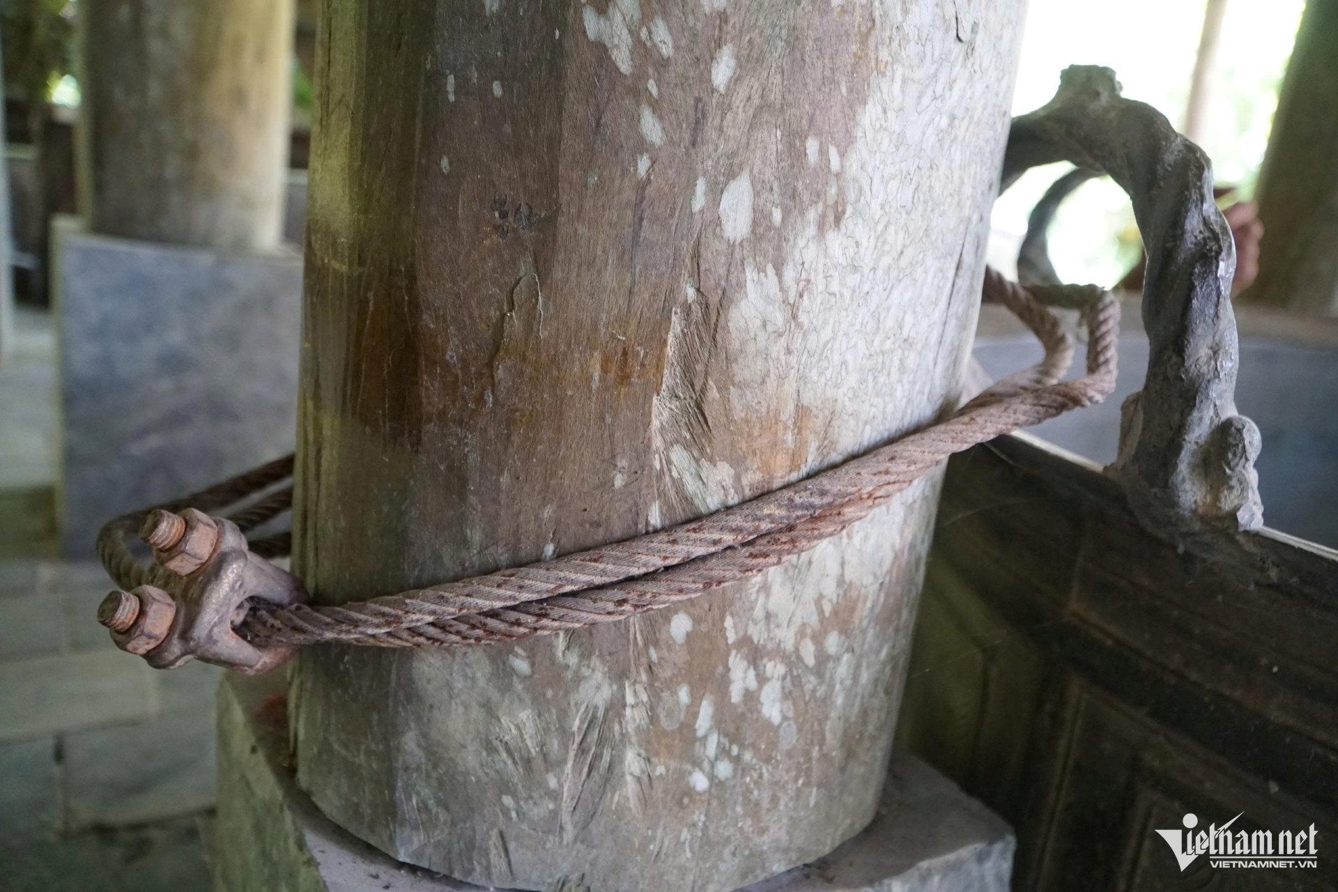 W-a4Người đàn ông ở Thanh Hóa.jpg