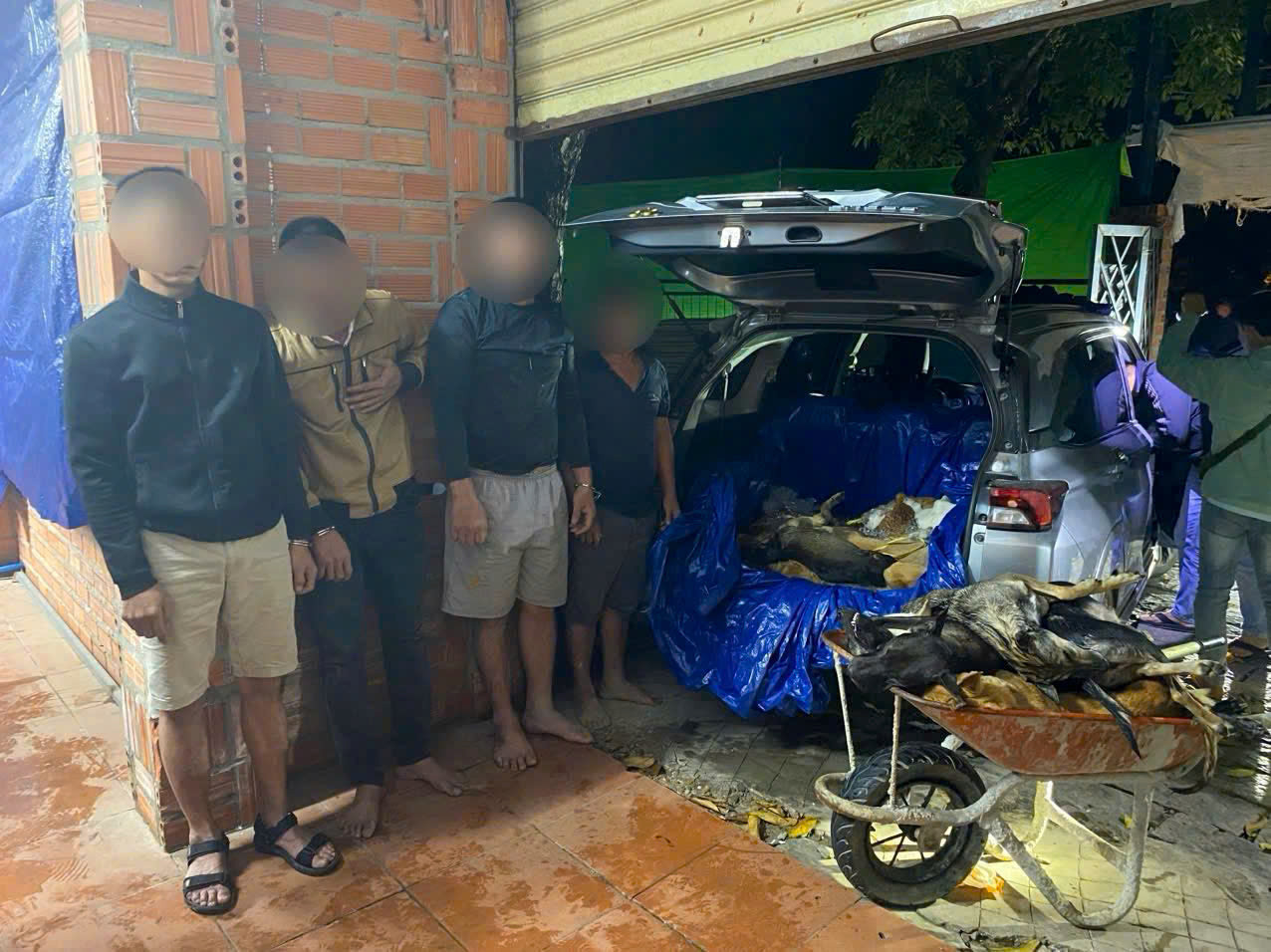 Đường dây trộm và giết mổ chó quy mô lớn tại Tây Ninh bị triệt phá - Ảnh 2.