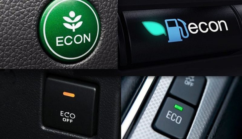 eco tren o to 1.jpeg