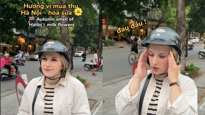 Hương hoa sữa thơm nhưng ngửi nhiều có thể gây nhức đầu. (Ảnh: Becky ở Việt Nam)