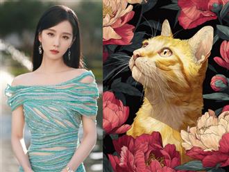 Tử vi 2 ngày cuối tuần (17, 18 tháng 10), 3 con giáp vận khí xung thiên, tài vận khởi sắc, gánh tiền mỏi lưng, cuộc đời thăng hoa viên mãn