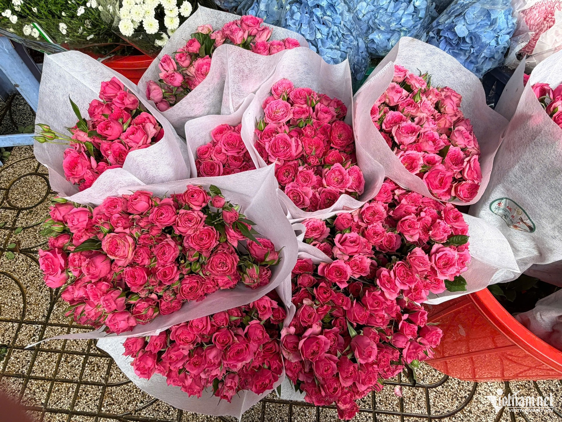 W-hoa nhap khau.jpg