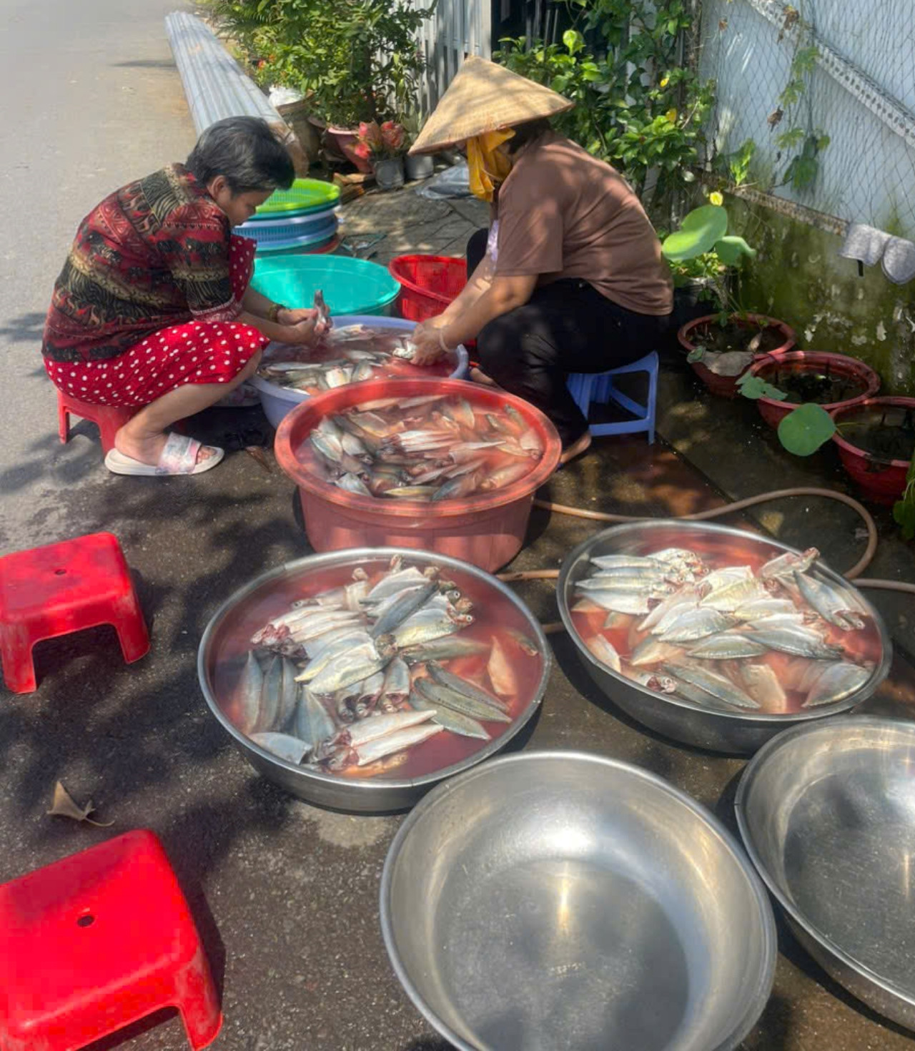 https://static-images.tintuconline.com.vn/vps_images_publish/00002/000012/2026/10/20/me-don-than-chay-xe-om-cong-nghe-9-nam-nau-com-tang-nguoi-ngheo-o-tphcm-9ee0f3ac65b84412841efe23e376dbfb-36.jpg