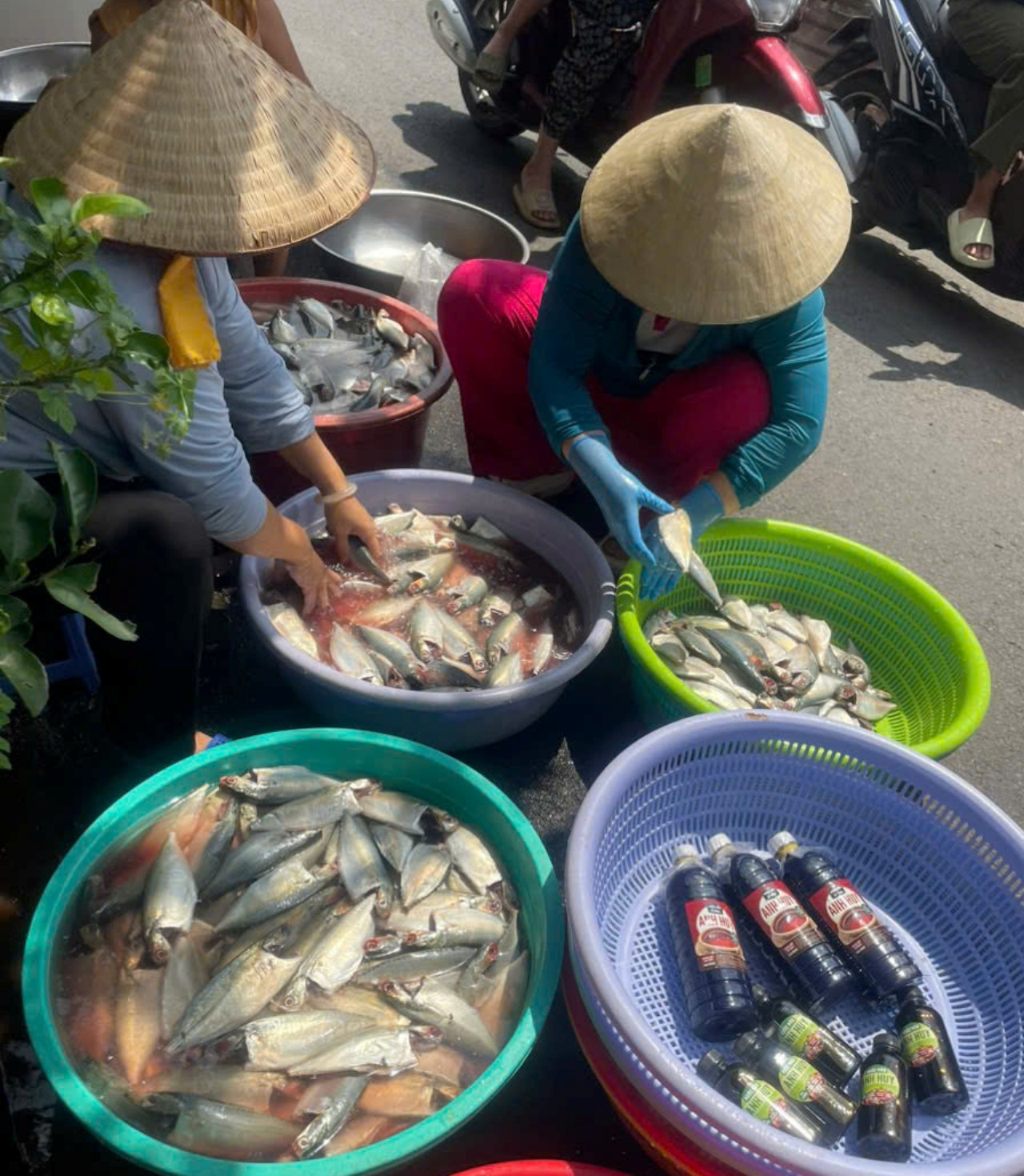 https://static-images.tintuconline.com.vn/vps_images_publish/00002/000012/2026/10/20/me-don-than-chay-xe-om-cong-nghe-9-nam-nau-com-tang-nguoi-ngheo-o-tphcm-c4849268c25e4ed4b98a0d97edb923e6-38.jpg