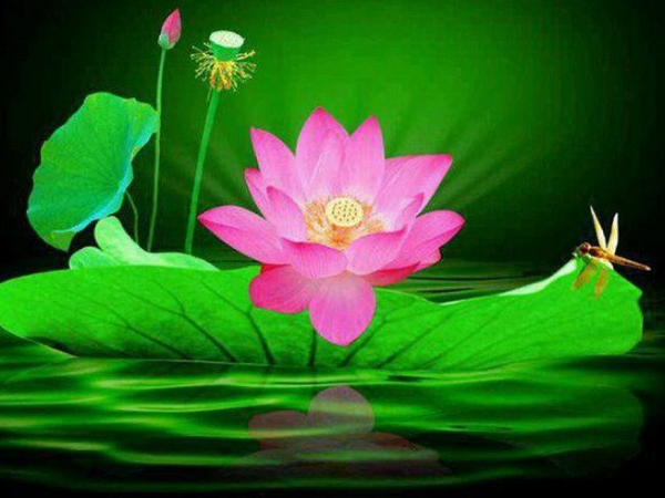 Đúng 20h hôm nay, ngày 21/10/2026, 3 con giáp Thiên Hoàng chiếu mệnh, vận đỏ chạm nóc, CÁT KHI HANH THÔNG, thành công nối tiếp - Ảnh 2