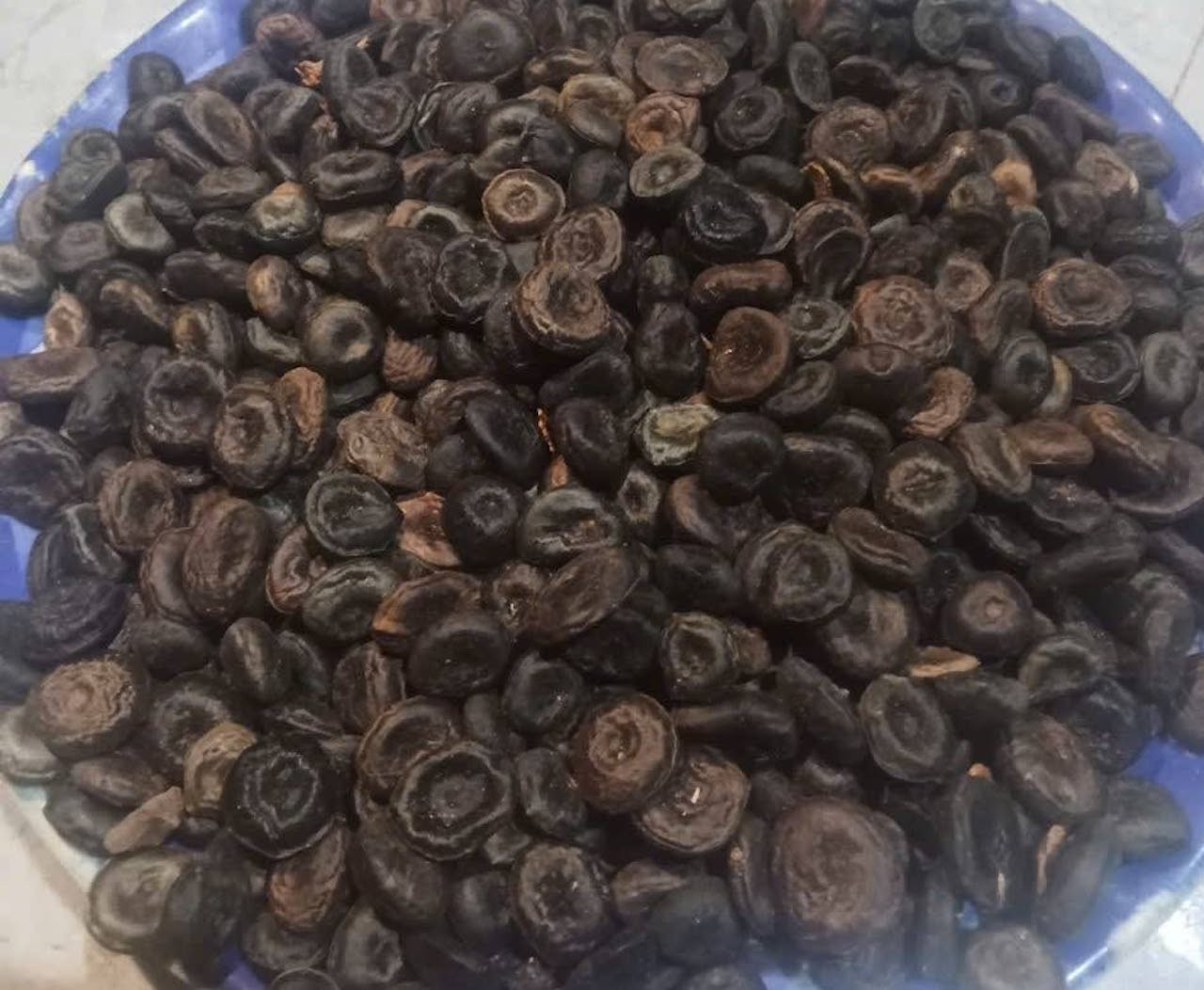 Bất ngờ loài cây có hạt cực độc nằm trong danh mục cấm trồng ở Hà Nội插图 hat ma tien .jpg