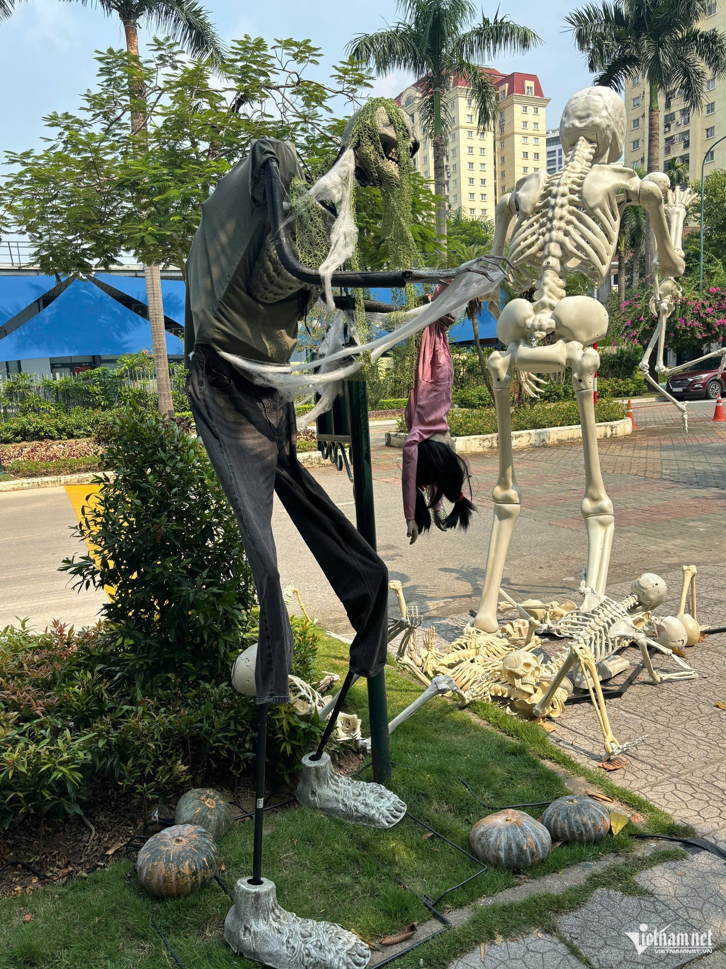 https://static-images.tintuconline.com.vn/vps_images_publish/00002/000012/2026/10/30/rung-minh-trang-tri-halloween-o-ha-noi-tieu-thuong-hang-ma-ly-giai-bat-thuong-0755819ca38f42448c6ae6a7ff234cc2-50.jpg