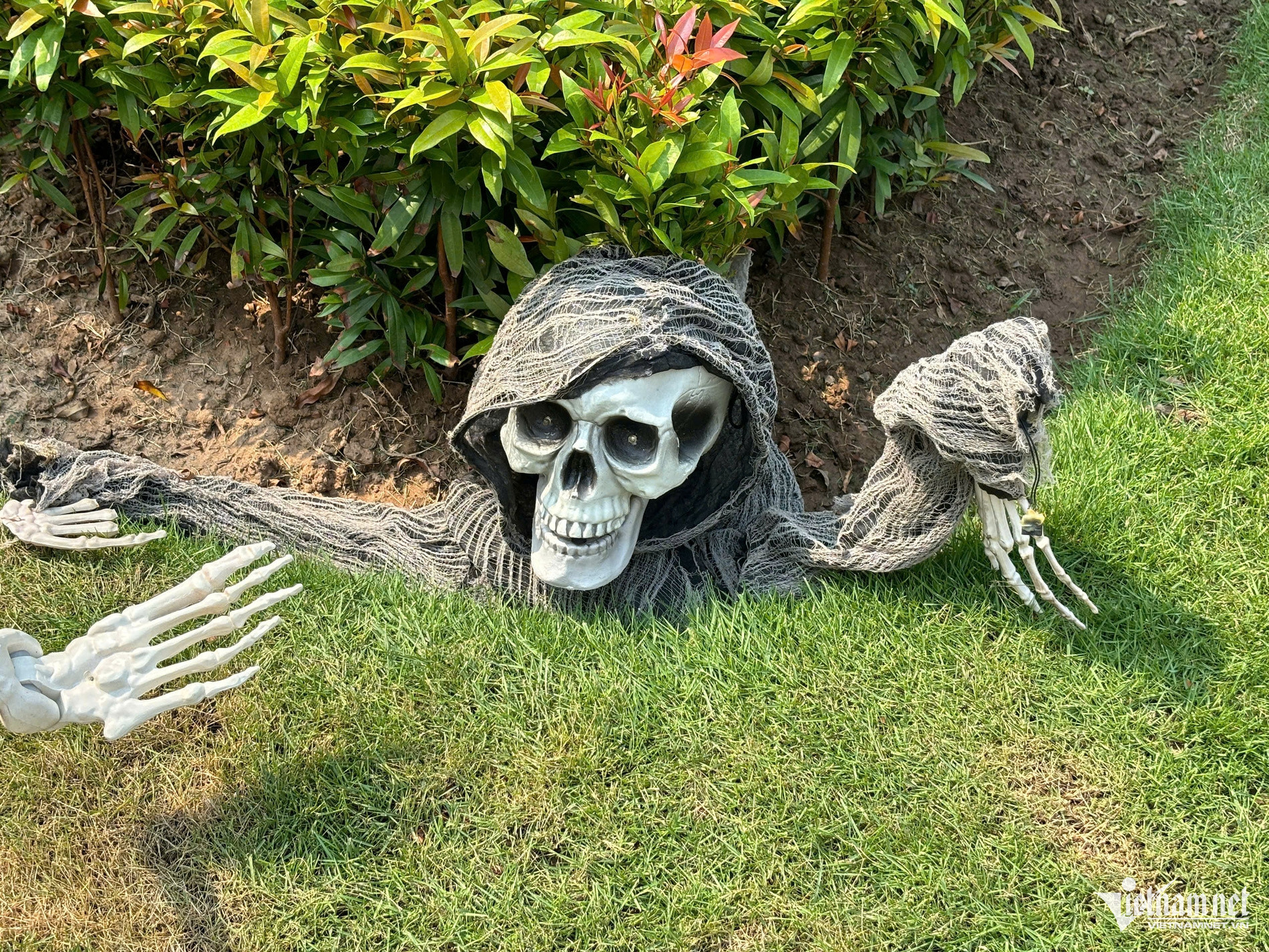 https://static-images.tintuconline.com.vn/vps_images_publish/00002/000012/2026/10/30/rung-minh-trang-tri-halloween-o-ha-noi-tieu-thuong-hang-ma-ly-giai-bat-thuong-29b10be76f1842e49bc87e11346a3dc1-46.jpg