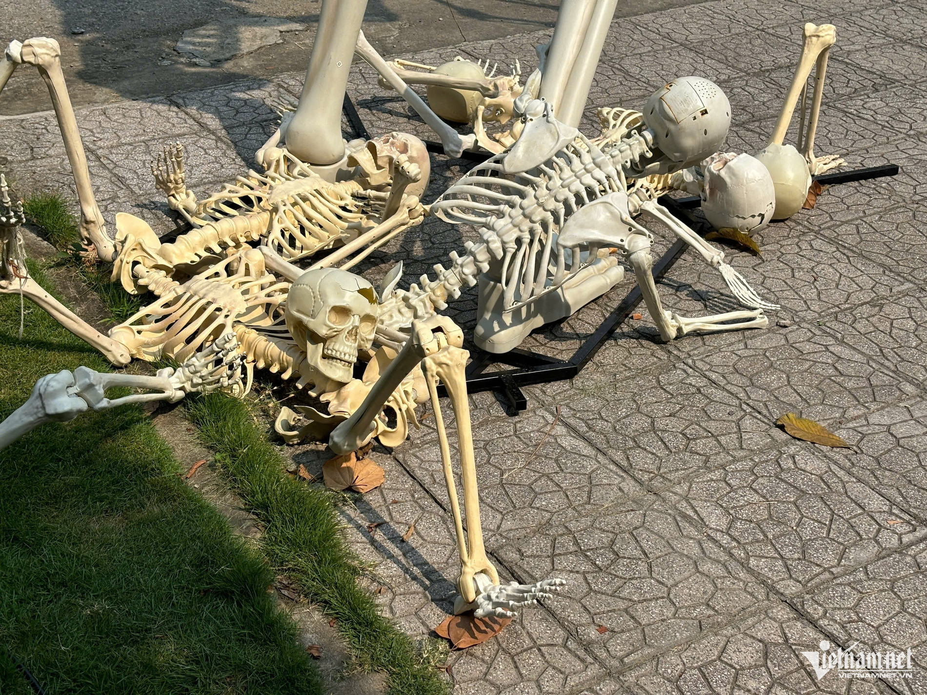 W-halloween7.jpg