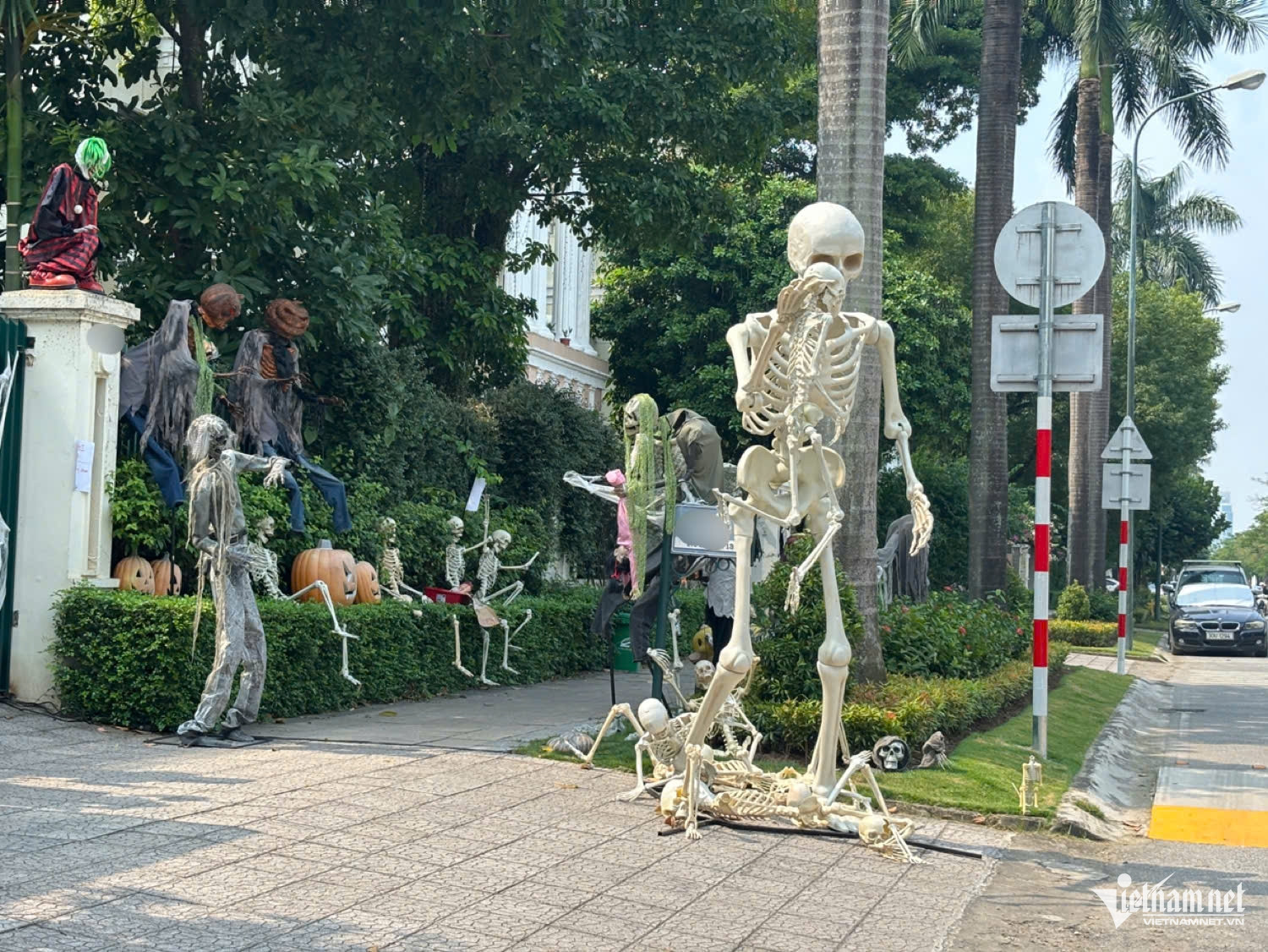 W-halloween10.jpg