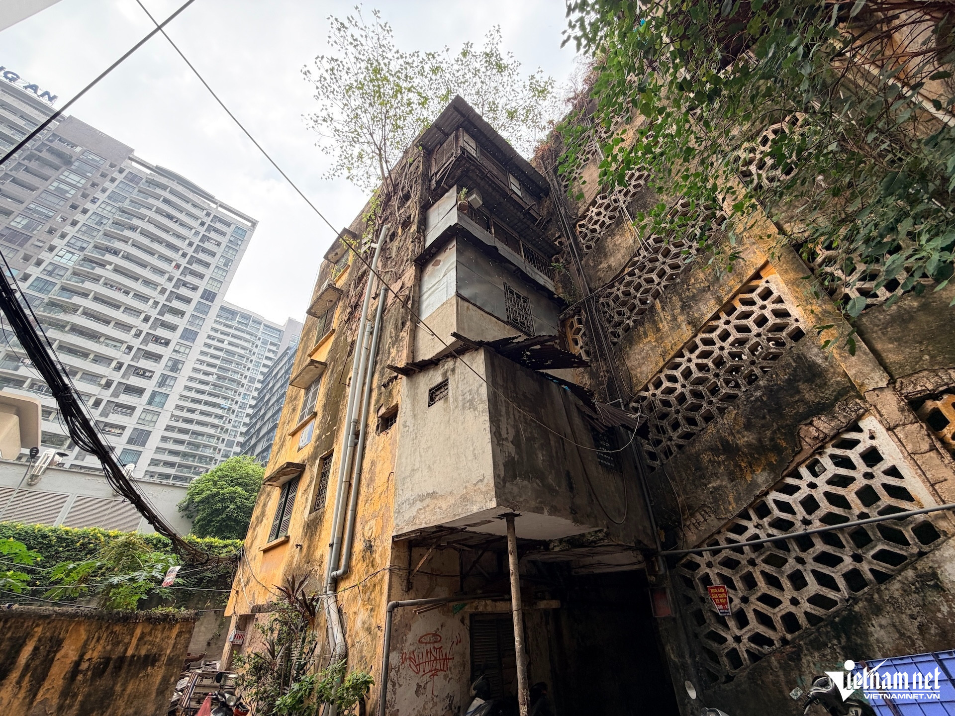 W-Tap the Nghia Do 13.JPG.jpg