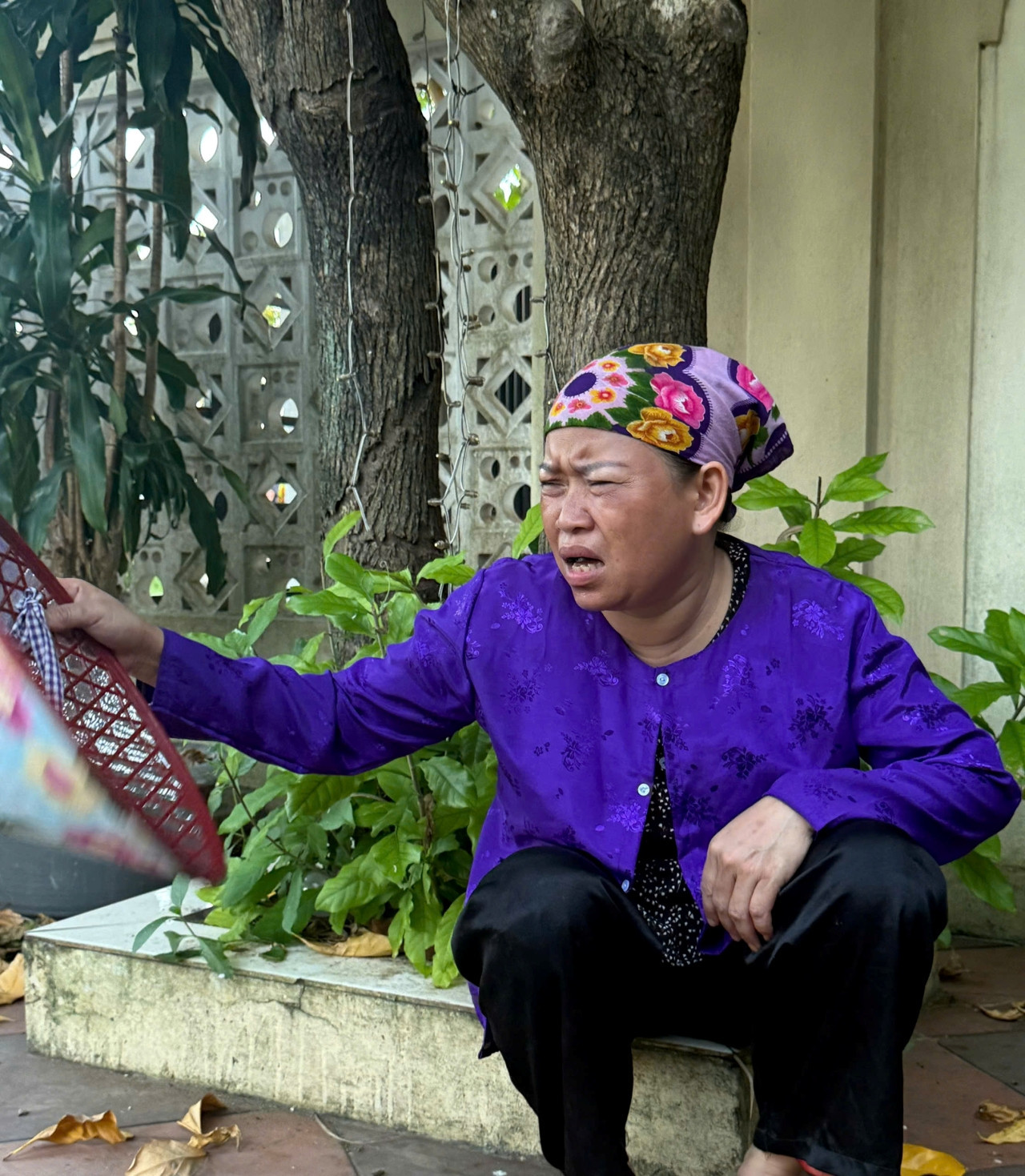 https://static-images.vnncdn.net/vps_images_publish/000001/000003/2026/10/4/quang-tri-42-393.jpg