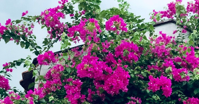Một tin nhắn khiến tôi phát hiện bí mật của chồng, anh nói 3 từ khiến tôi chết lặng插图2