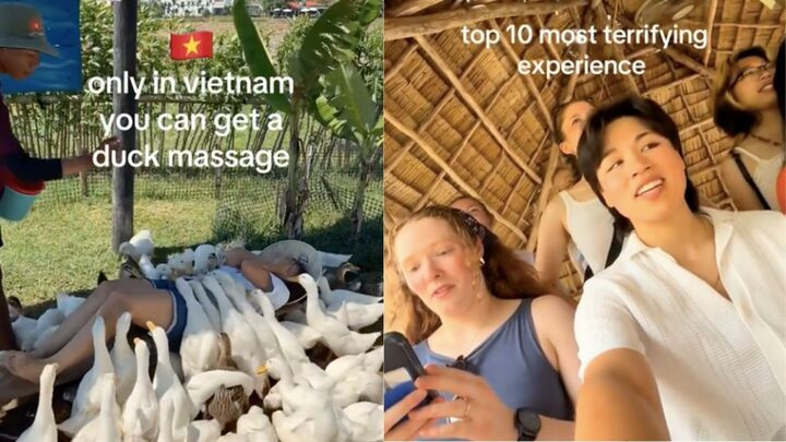 Khách Tây đi massage vịt, cá ở Việt Nam khen 'kỹ thuật viên rất tốt, rất hài' - 2