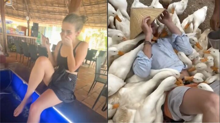 Nhiều du khách khen vịt hay cá là những kỹ thuật viên massage thân thiện, hài hước nhất mà họ từng gặp. (Ảnh chụp màn hinh)