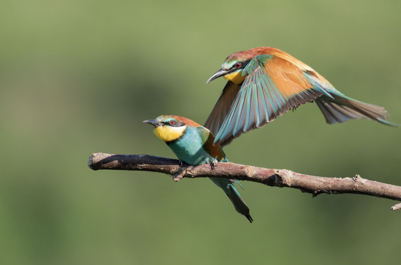 Ngày sinh Âm lịch 'vượng số': Cả đời ít sóng gió, sống an nhàn hơn người - Ảnh 3.