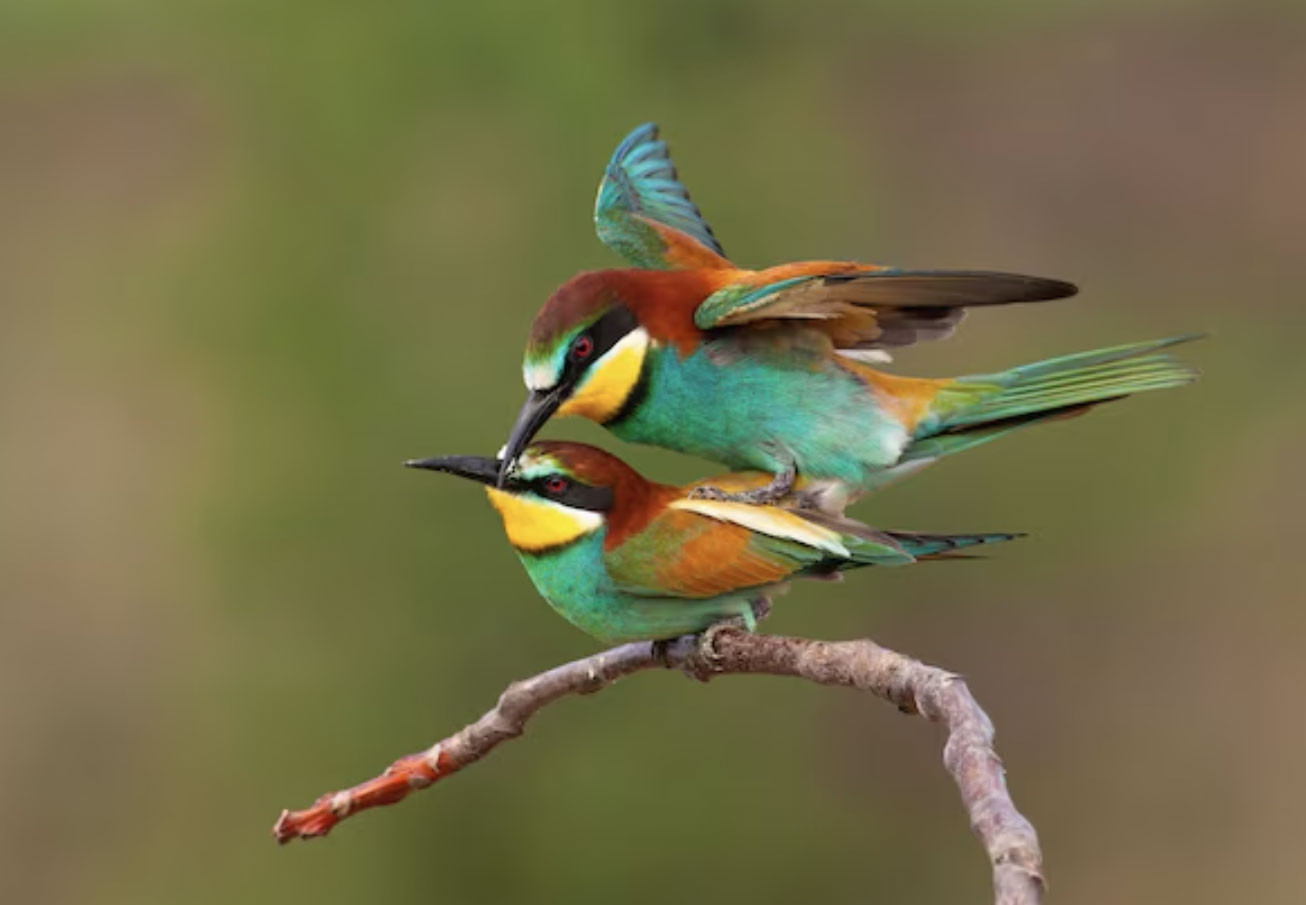 Ngày sinh Âm lịch 'vượng số': Cả đời ít sóng gió, sống an nhàn hơn người - Ảnh 2.