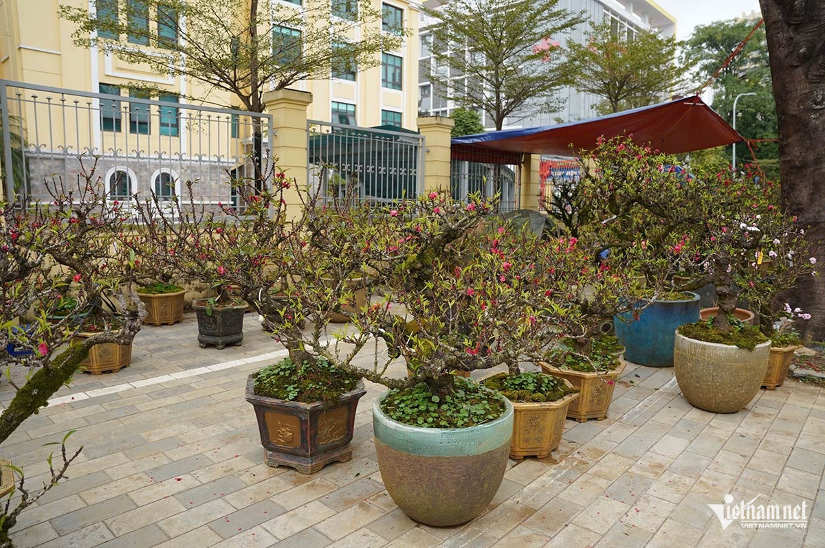 W-dao that tho 3.jpg