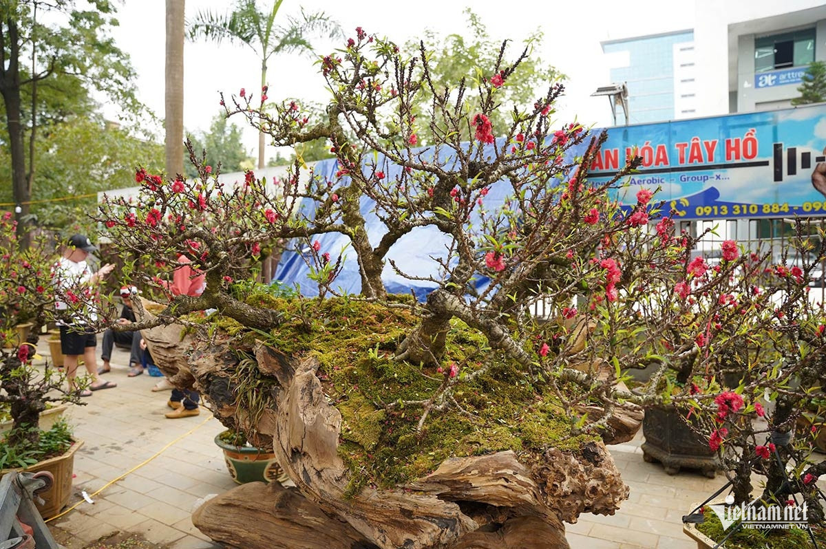 W-dao that tho 12.jpg