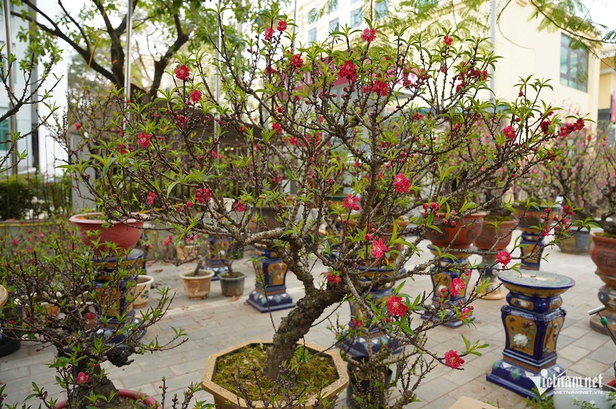 W-dao that tho 5.jpg