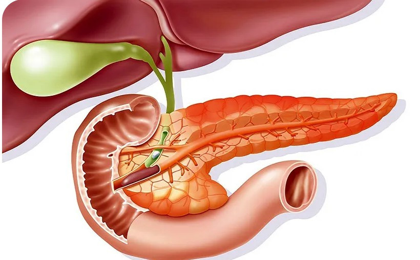 Nam sinh viêm tụy cấp, mỡ máu cao gấp 47 lần thừa nhận một sai lầm nhiều bạn trẻ Việt mắc phải - Ảnh 2.
