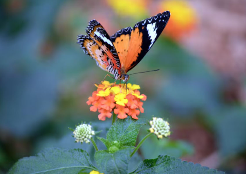 Số cuối ngày sinh Âm lịch tiết lộ người khôn ngoan: Càng lớn tuổi càng phát tài - Ảnh 3.