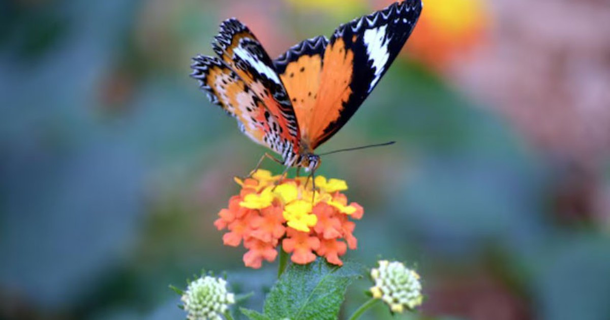 Số cuối ngày sinh Âm lịch tiết lộ người vượng tiền tài插图3 Số cuối ngày sinh Âm lịch tiết lộ người vượng tiền tài插图3