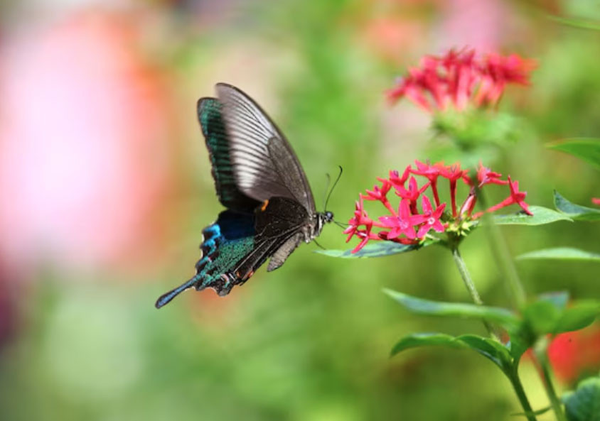 Số cuối ngày sinh Âm lịch tiết lộ người khôn ngoan: Càng lớn tuổi càng phát tài - Ảnh 2.