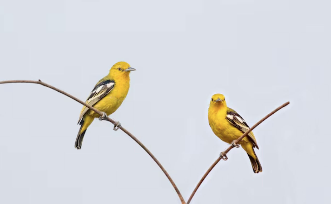 4 tháng sinh Âm lịch của người mang số phát đạt, hậu vận an nhàn, con cháu hiếu thuận - Ảnh 2.