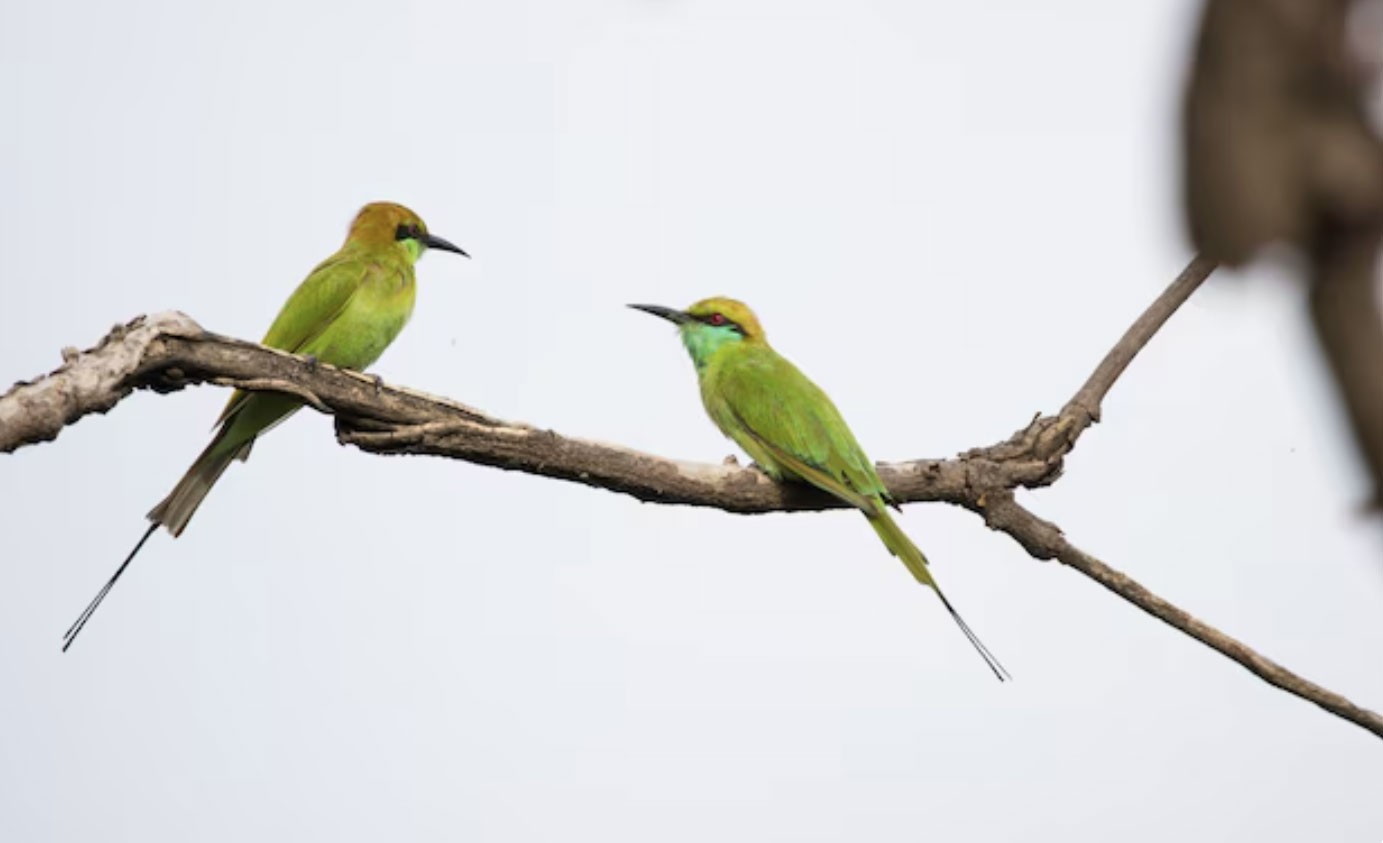 4 tháng sinh Âm lịch của người mang số phát đạt, hậu vận an nhàn, con cháu hiếu thuận - Ảnh 3.