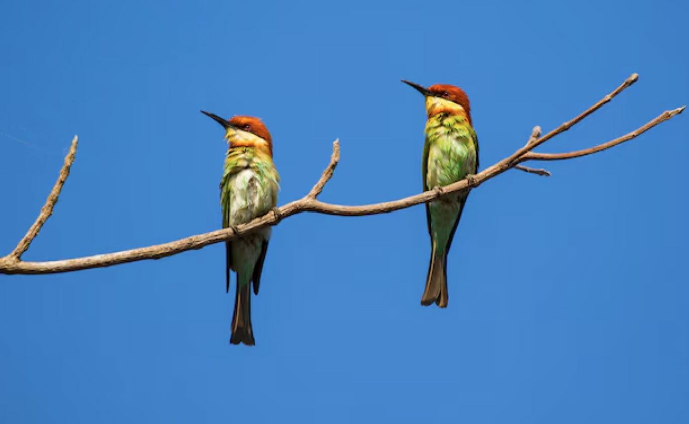 4 tháng sinh Âm lịch của người mang số phát đạt, hậu vận an nhàn, con cháu hiếu thuận - Ảnh 4.