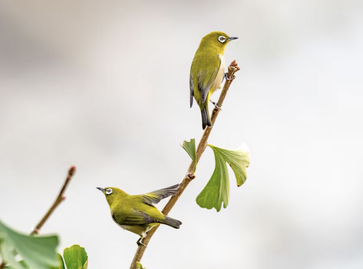 4 tháng sinh Âm lịch của người mang số phát đạt, hậu vận an nhàn, con cháu hiếu thuận - Ảnh 1.
