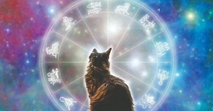 5 Con giáp phạm Thái Tuế năm 2026 và cách cúng giải hạn hiệu quả - Ảnh 2.