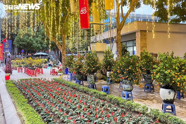 Giữa cao điểm sát Tết 2026, tiểu thương bất ngờ xả đào, quất thu hồi vốn插图2 Giá đào, quất năm nay “mềm” hơn so với mọi năm.