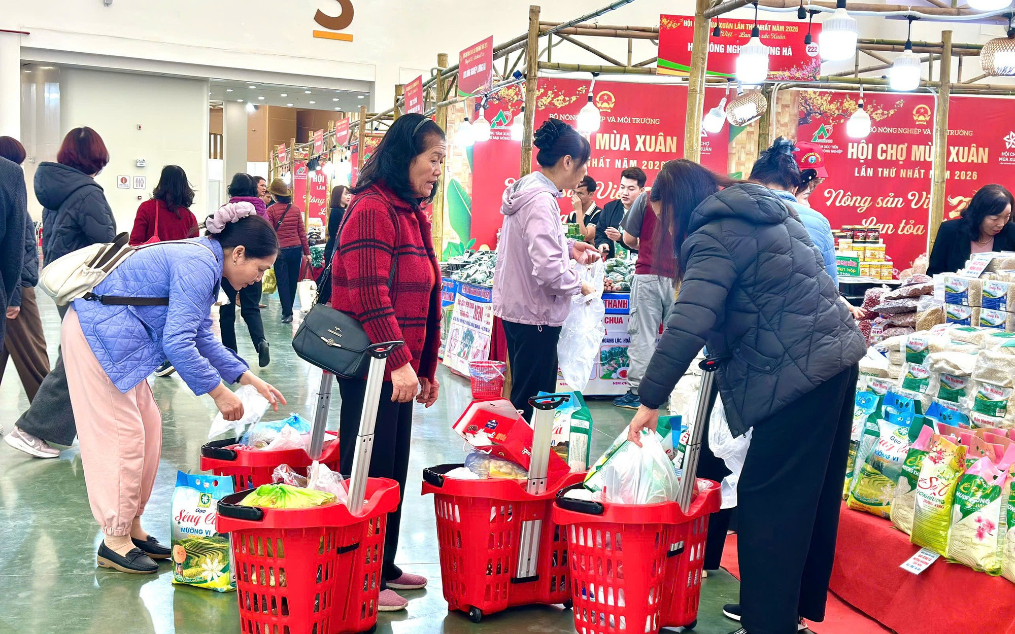 Giá cả thị trường dừa dát vàng ngày Tết 2026: Lộc tài thịnh vượng - Ảnh 4.