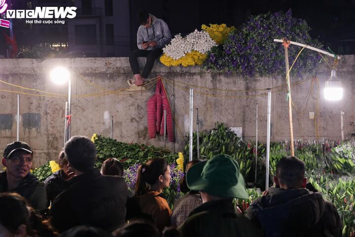 Nhiều tiểu thương dự báo, càng cận Tết Nguyên đán, giá hoa sẽ còn tăng. “Theo thường lệ, những ngày này giá hoa không chỉ tăng gấp đôi mà có thể gấp ba, thậm chí cao hơn nữa”, một tiểu thương nhận định.