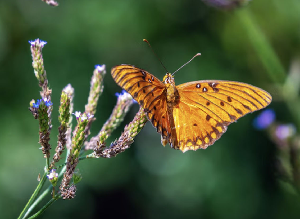 Sống tốt chưa chắc bằng sinh đúng ngày: 4 ngày Âm lịch đại cát, phúc lộc kéo dài nhiều thế hệ - Ảnh 3.