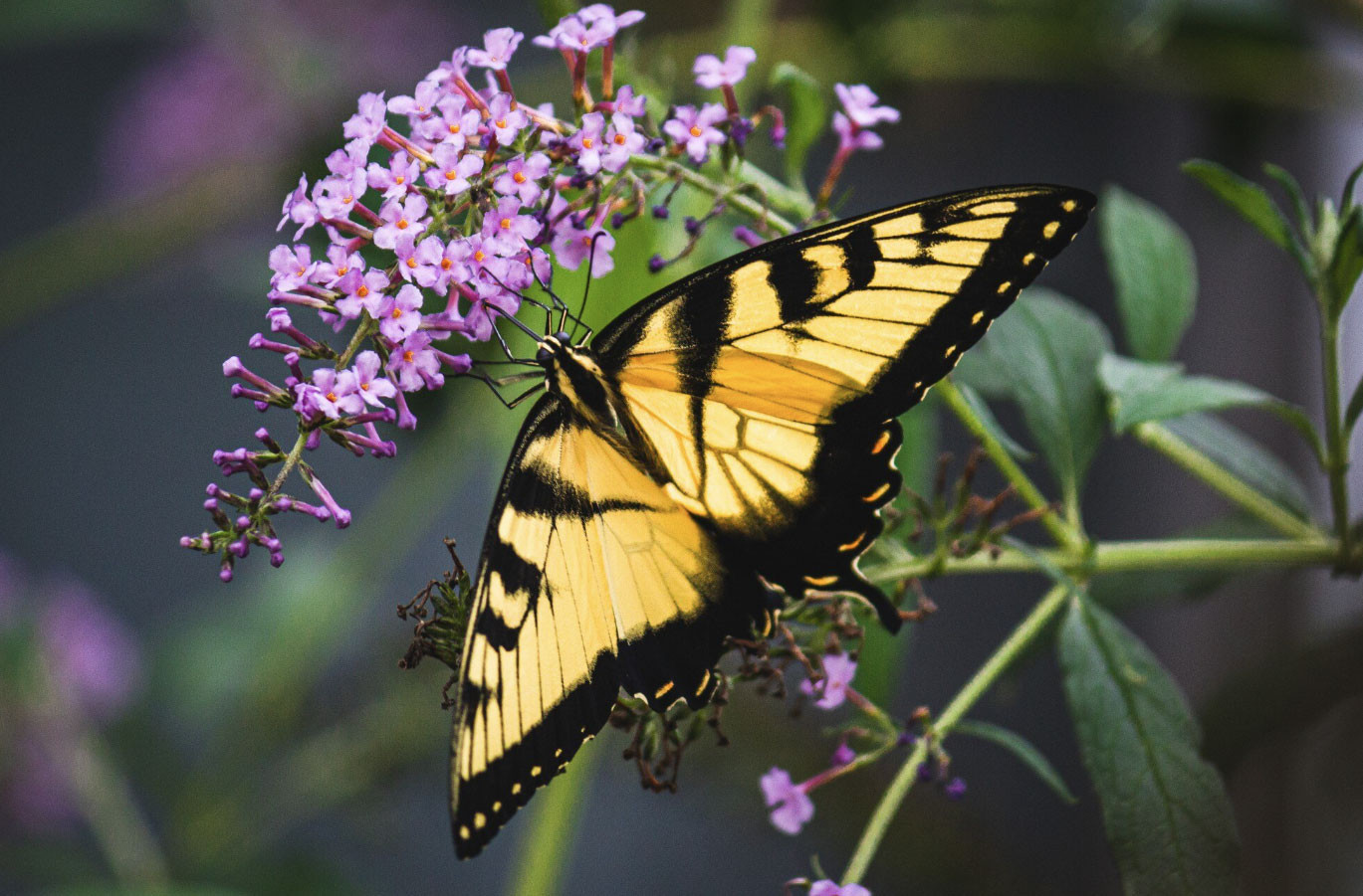 Sống tốt chưa chắc bằng sinh đúng ngày: 4 ngày Âm lịch đại cát, phúc lộc kéo dài nhiều thế hệ - Ảnh 1.