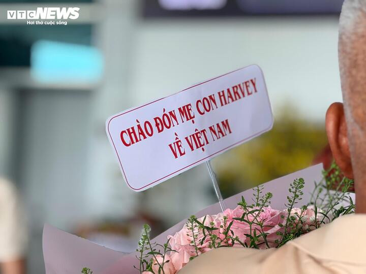 Cụ thể, tổng số chuyến bay đi khoảng 517 chuyến (350 chuyến nội địa, 167 chuyến quốc tế).