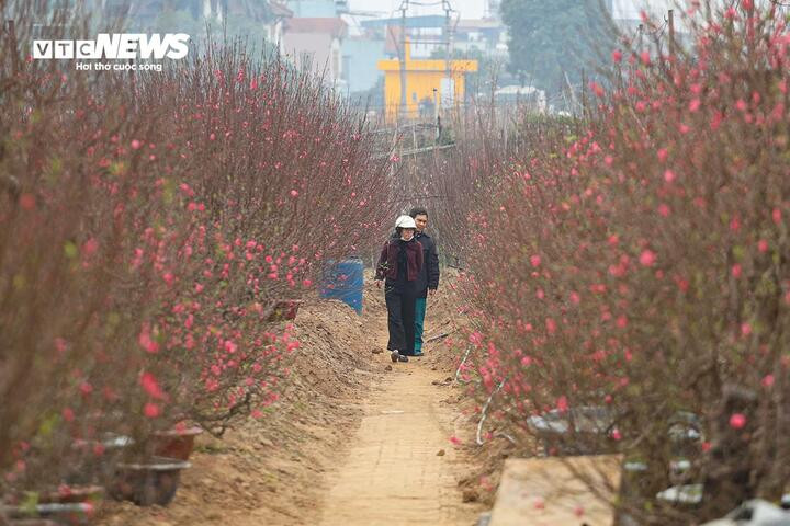 Cả nước đón nắng trong ngày 14/2. (Ảnh minh hoạ: Minh Đức)
