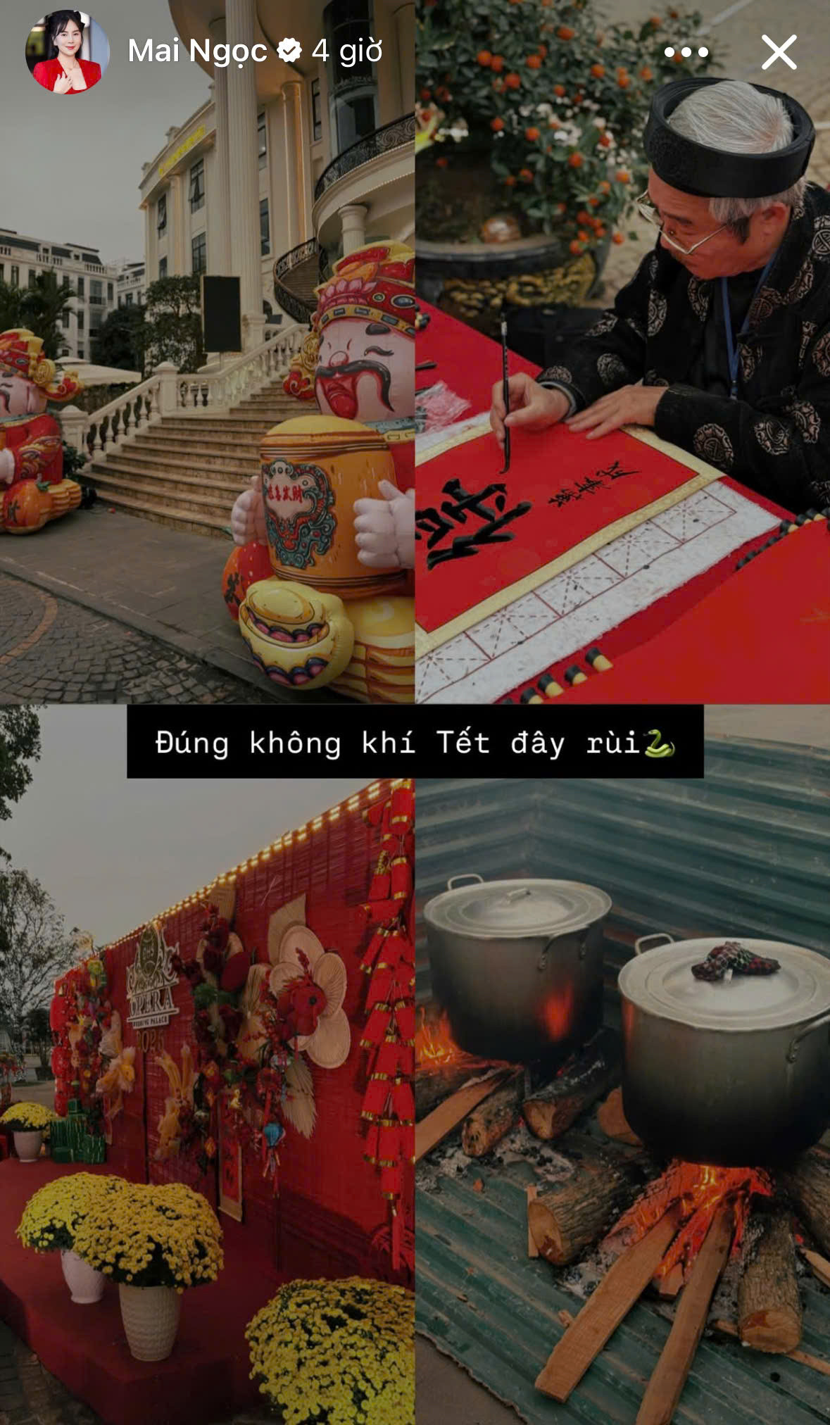 MC Mai Ngọc đón Tết 2026 tại biệt thự nhà chồng hạnh phúc viên mãn - Ảnh 8.