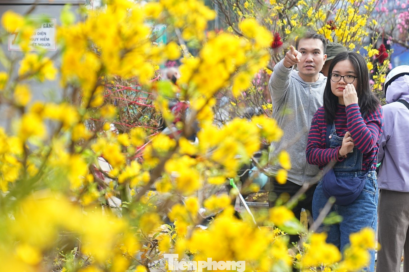 tp-mai-vang-anh-16.jpg